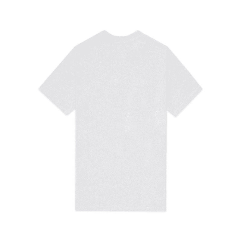 NYON New York Or Nowhere Mr Knick Playoff Tee White Heather Back Transparent 1